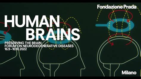 fondazione prada conferenza 16 magio|Human Brains: Preserving the Brain .